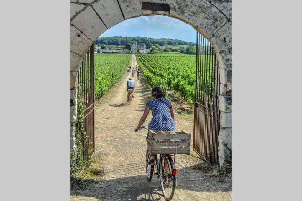 L'Escapade : Maison Centre-Ville Avec Cour Saumur Kültér fotó